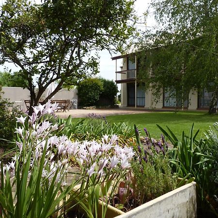 Coonawarra Motor Lodge Penola Kültér fotó