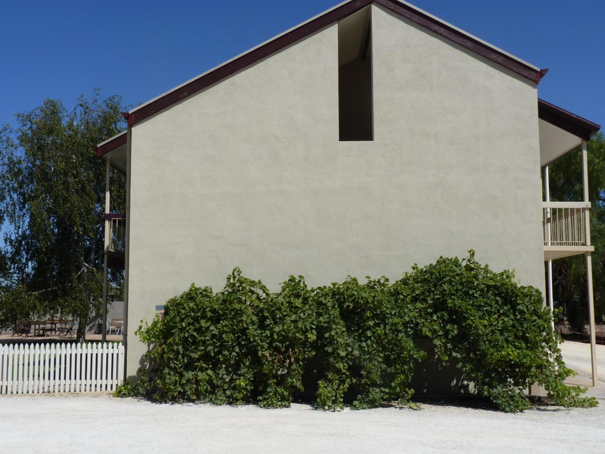 Coonawarra Motor Lodge Penola Kültér fotó