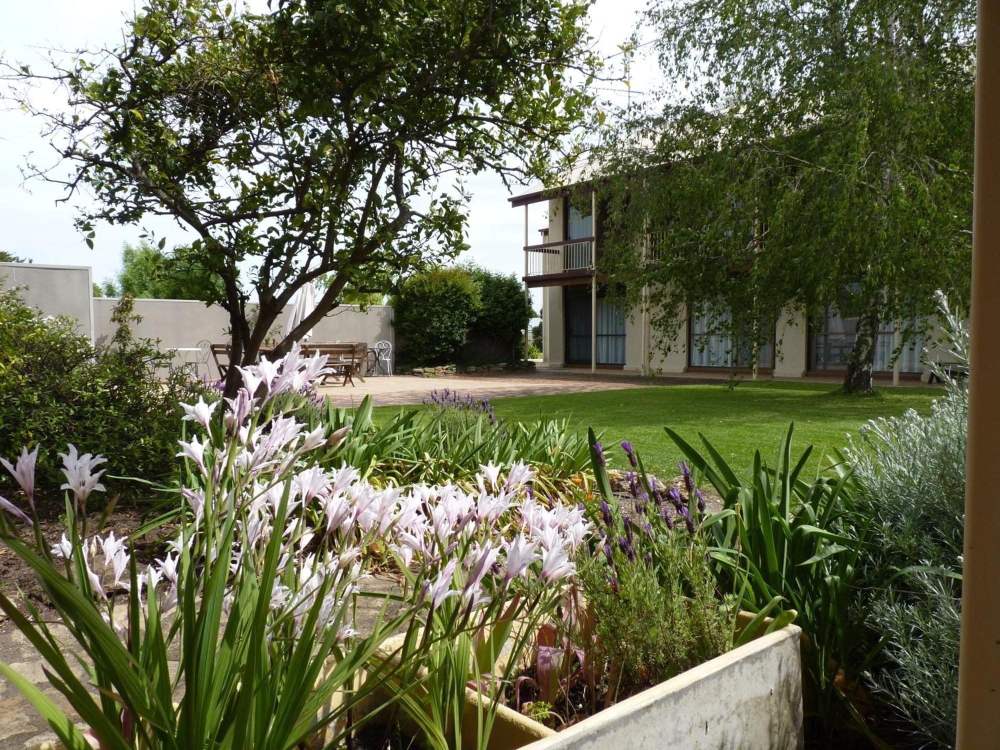 Coonawarra Motor Lodge Penola Kültér fotó
